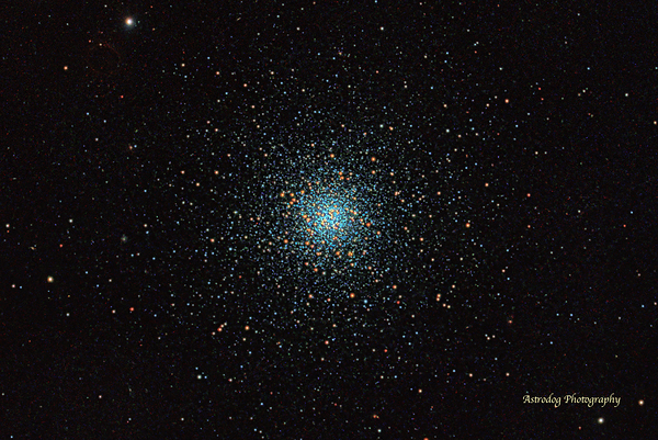 M53 Print