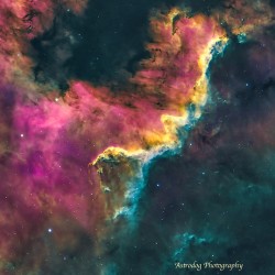 CygnusWall