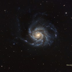 M101