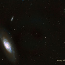 M106C