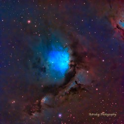 M78