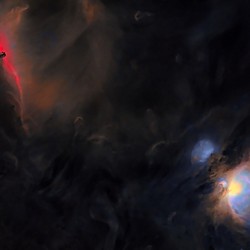 Orion