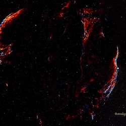 The Cygnus Loop RGB Stars