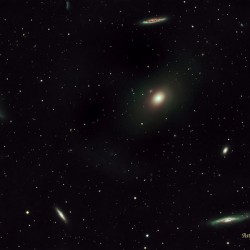 markarian