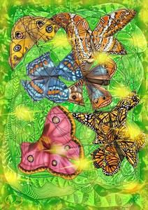 From Chaos to Butterfly Wings