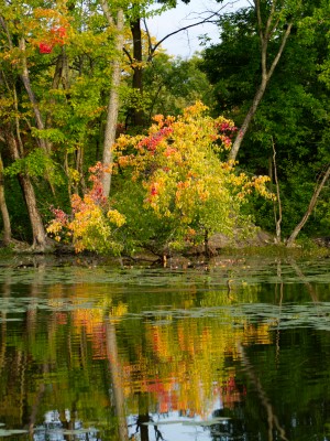 Automne