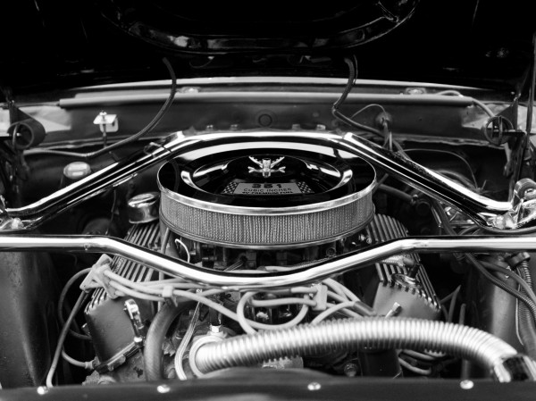 351 Mustang Print