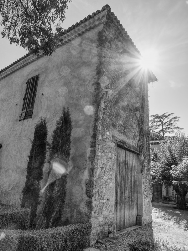 Provence Print