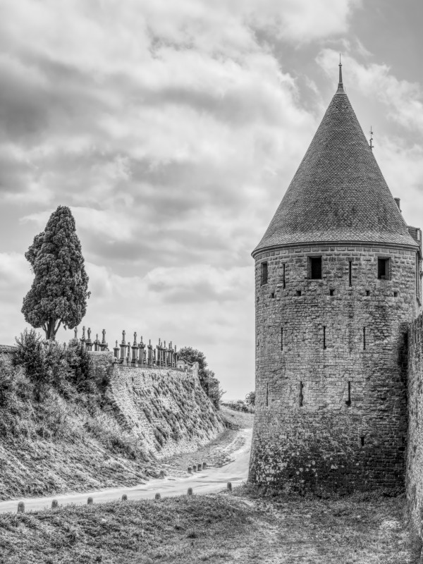 Carcassonne Print