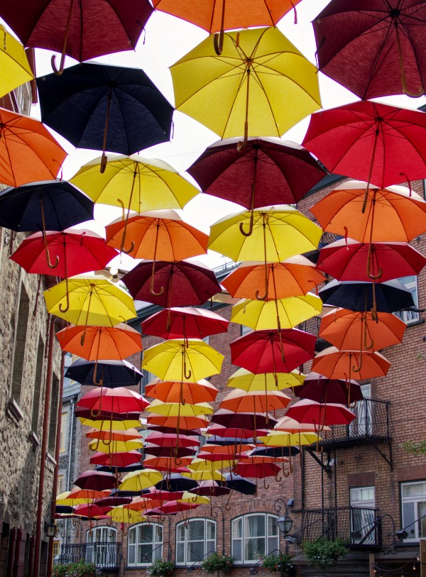 parapluies Print