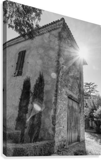 Provence Canvas Print
