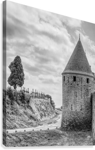 Carcassonne Canvas Print