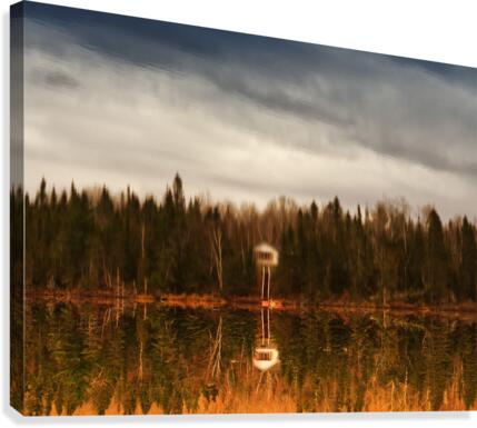 Reflection Canvas Print
