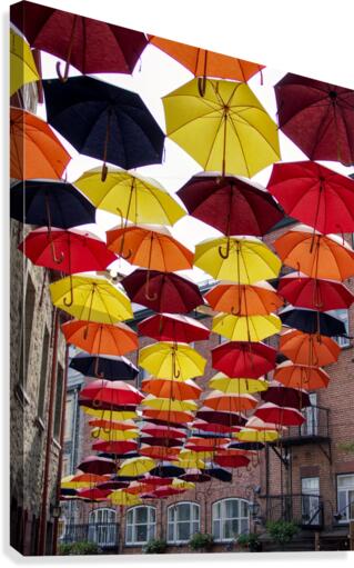 parapluies Canvas Print
