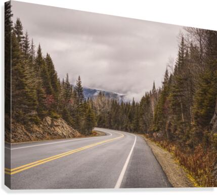 La route Canvas Print