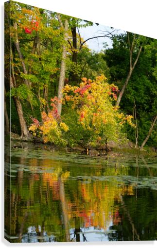 Automne Canvas Print