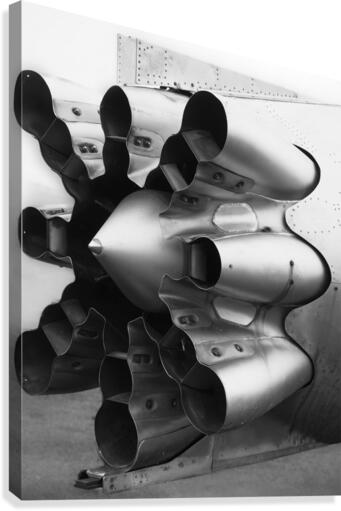 Propulseur Canvas Print