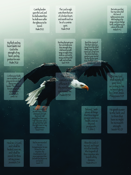 MNW10-EAGLE by MY NEHEMIAH WALL