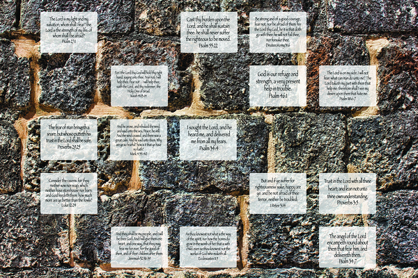 MNW18-STONEWALL by MY NEHEMIAH WALL