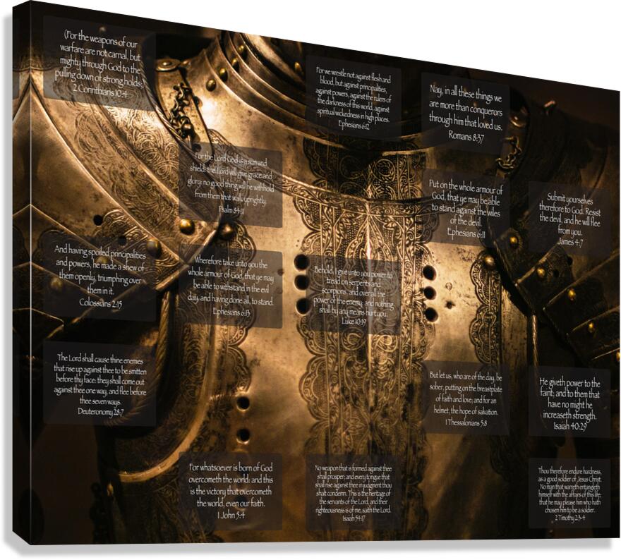 MNW2 - ARMOUR Canvas Print
