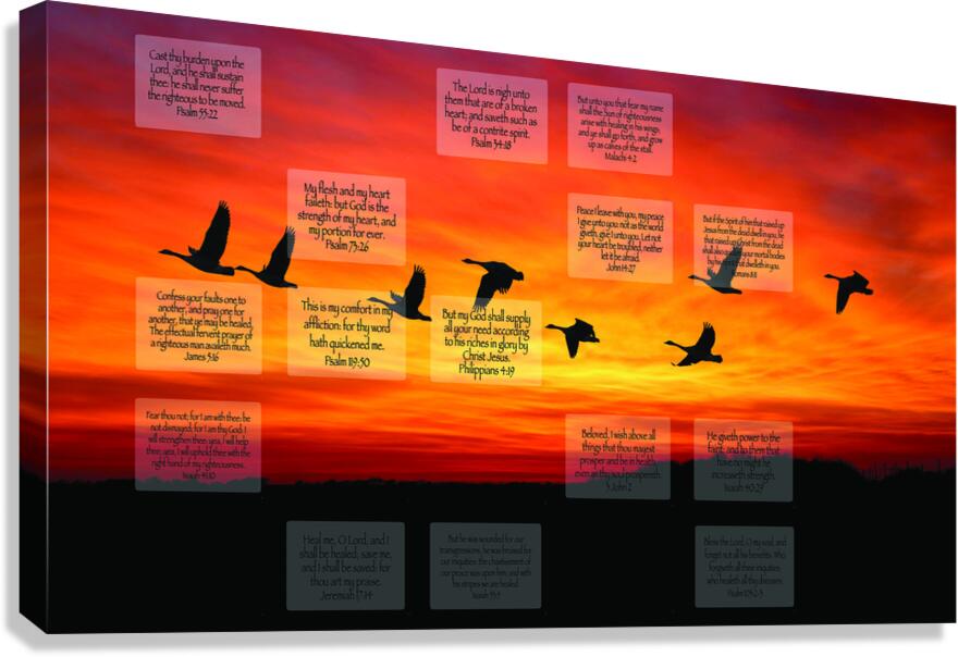 MNW5-GEESE Canvas Print