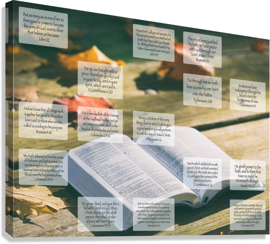 MNW6-IDENTITY Canvas Print