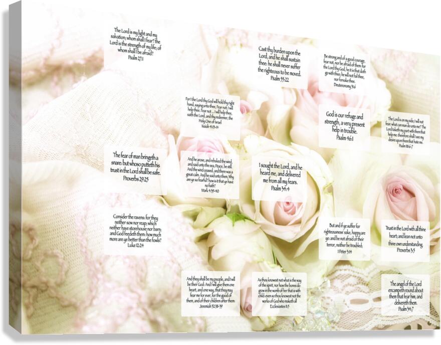 MNW9-WHITE ROSES Canvas Print