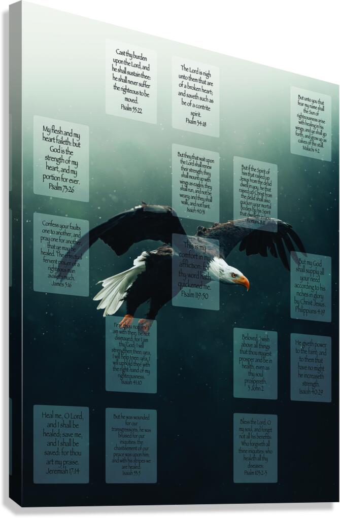 MNW10-EAGLE Canvas Print