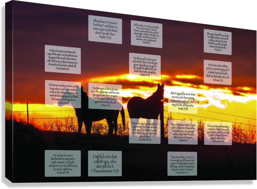 MNW11-HORSES Canvas Print