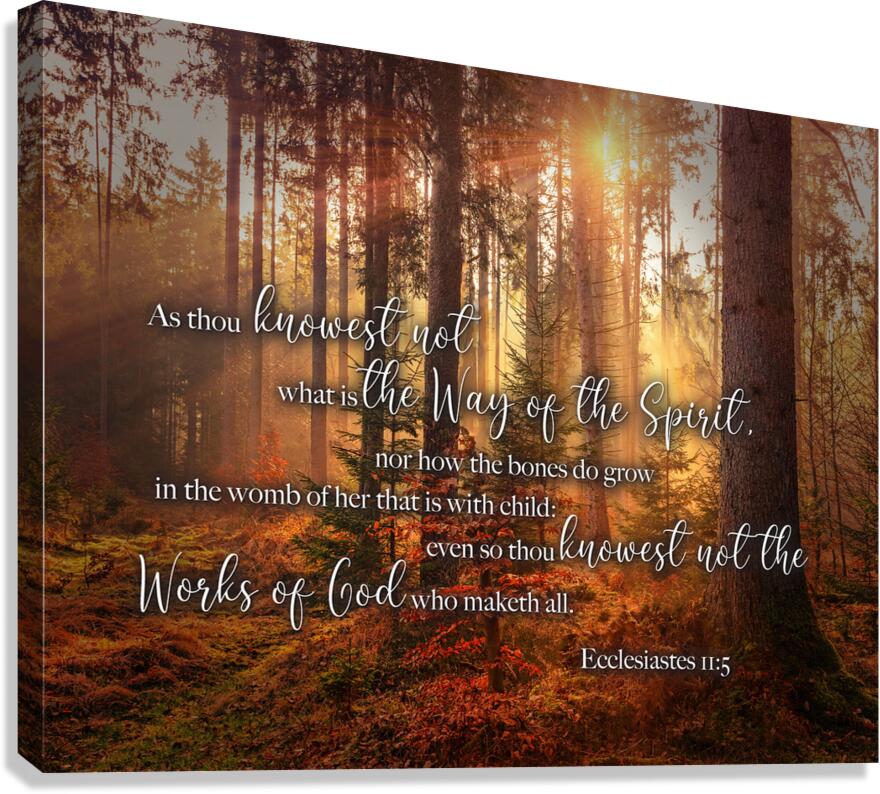 MNW12-FOREST ECC1 5 Canvas Print
