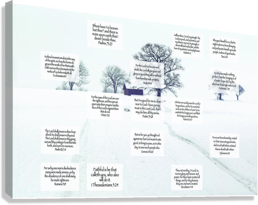 MNW15-WINTER Canvas Print