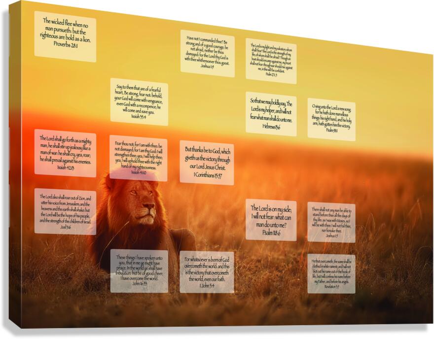 MNW17-LION Canvas Print
