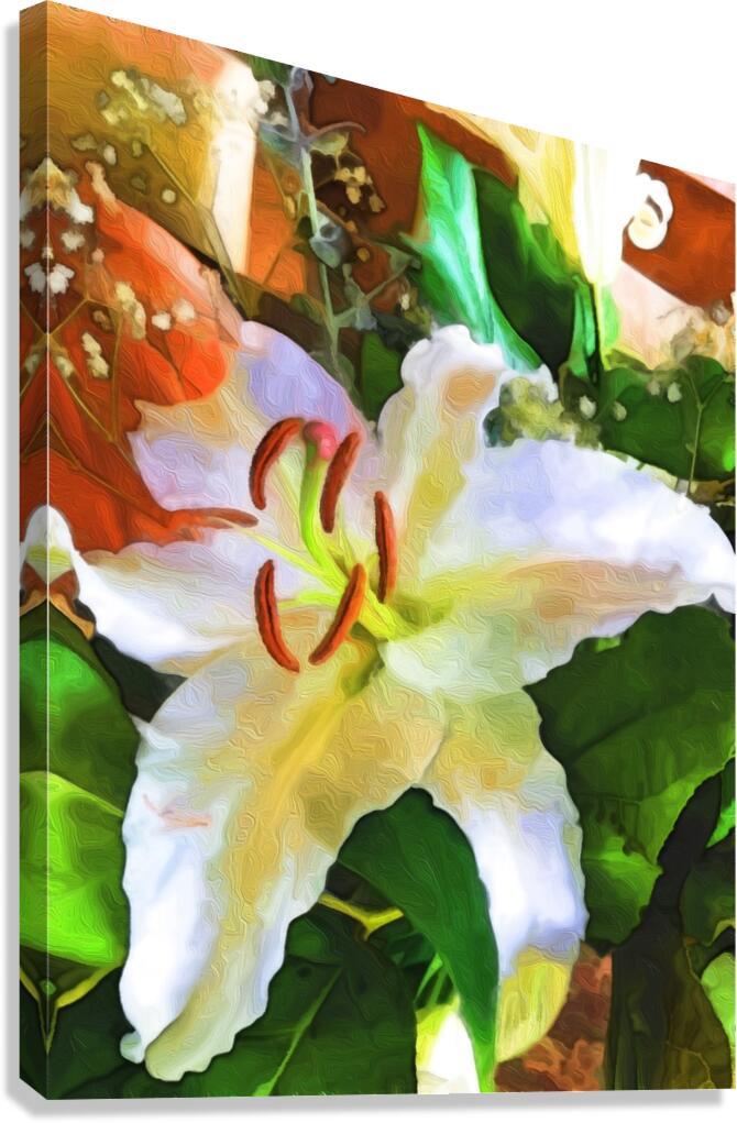 Lily Canvas Print