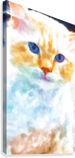 White Cat Canvas Print