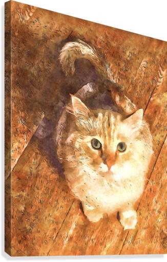 White Cat Canvas Print