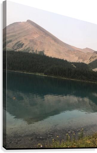 Alberta mountains  Canvas Print