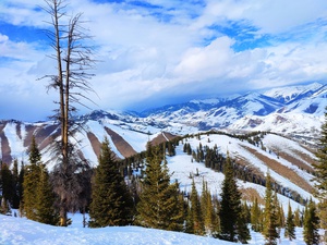 Somewhere on a Mountain