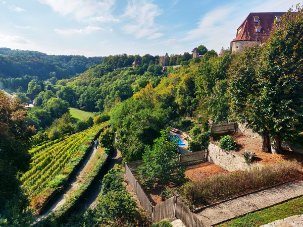 German Vineyard by JulesSnow