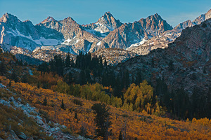Bishop Fall 