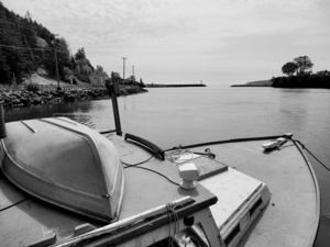 FISHING SEASON
