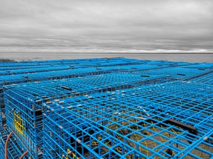 Lobster Traps