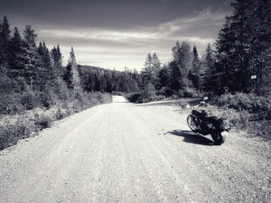 Dirt Rider