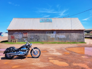 Bike and shed
