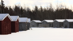 Sheds