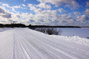 Snowy Road