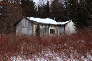 Rustic Winter