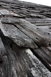 OLD WOOD