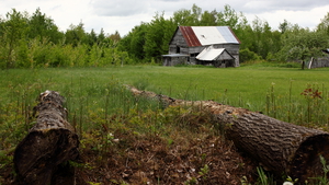 COUNTRY LIFE