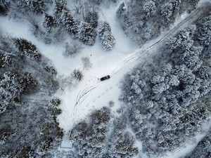 BEAUTY OF WINTER