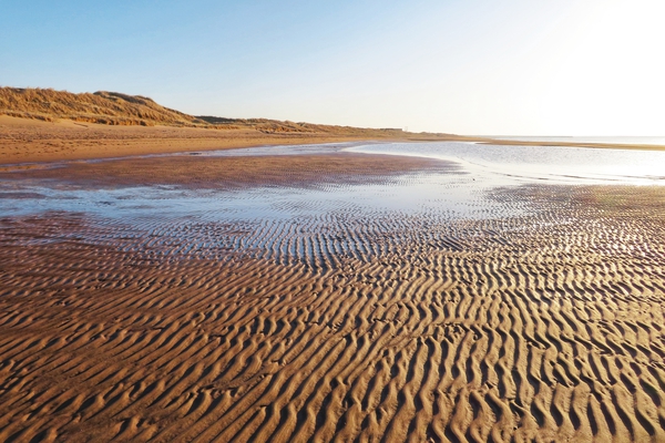 Beach Weather Print